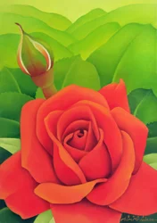 Die Rose, 2003